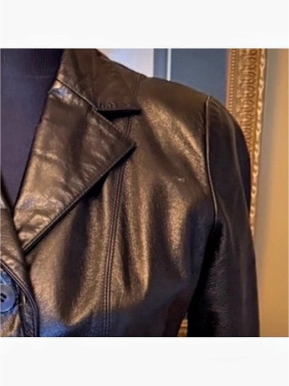 Danier Leather Button-Front Jacket - Picture 10 of 12